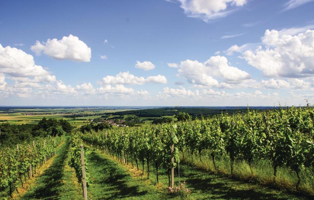 Kellerstoeckl Weinblick I Und II Villa Eisenberg an der Pinka Buitenkant foto