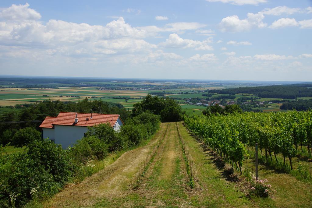 Kellerstoeckl Weinblick I Und II Villa Eisenberg an der Pinka Buitenkant foto